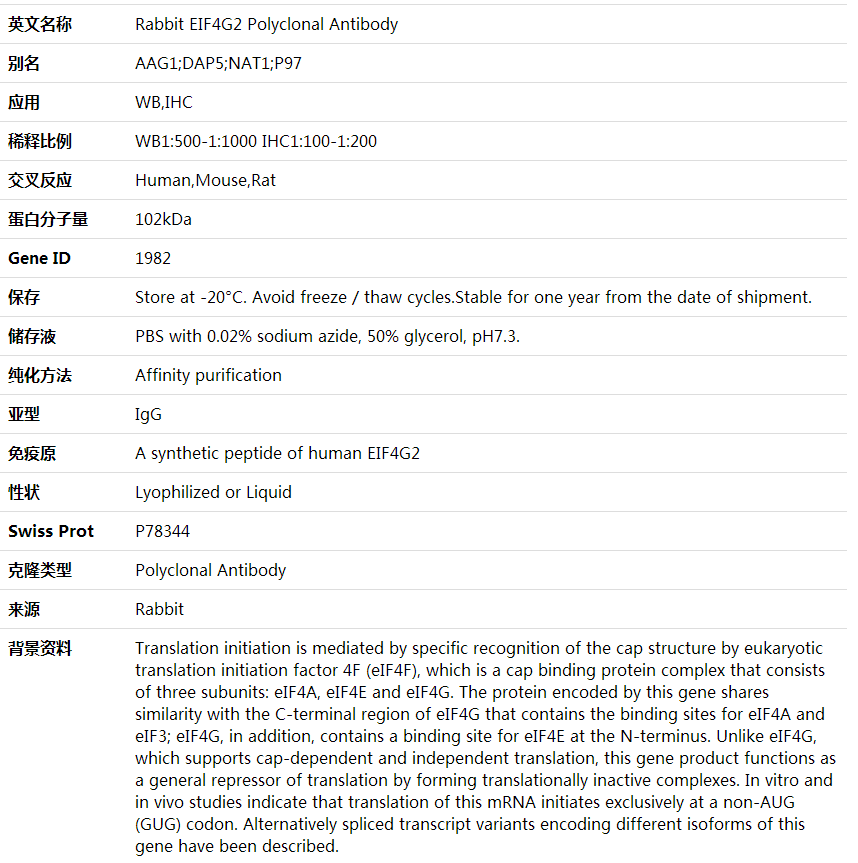 Anti-EIF4G2 Polyclonal Antibody,索莱宝,K000375P-100ul