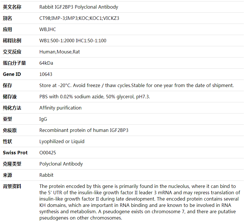 Anti-IGF2BP3 Polyclonal Antibody,索莱宝,K000373P-100ul