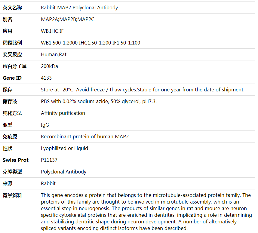 Anti-MAP2 Polyclonal Antibody,索莱宝,K000370P-50ul