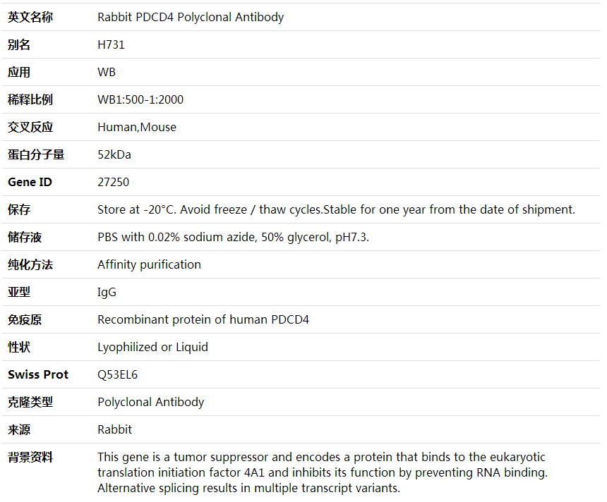 Anti-PDCD4 Polyclonal Antibody,索莱宝,K000369P-50ul