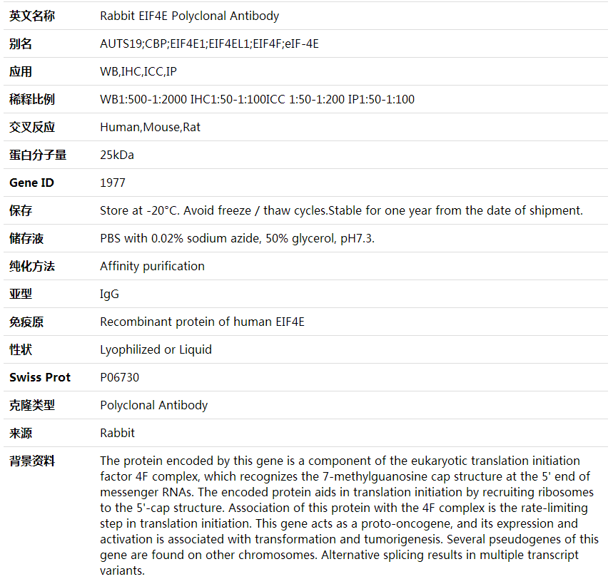 Anti-EIF4E Polyclonal Antibody,索莱宝,K000364P-100ul