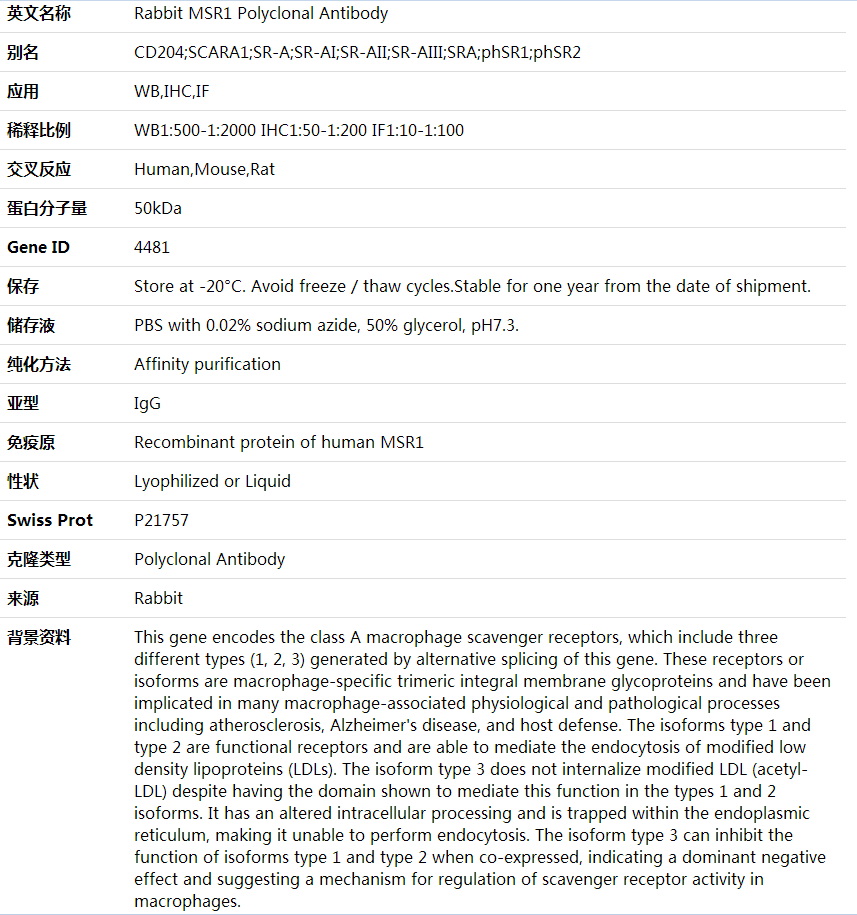 Anti-MSR1 Polyclonal Antibody,索莱宝,K000359P-50ul