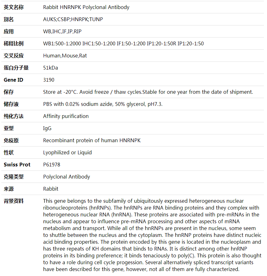 Anti-HNRNPK Polyclonal Antibody,索莱宝,K000355P-100ul