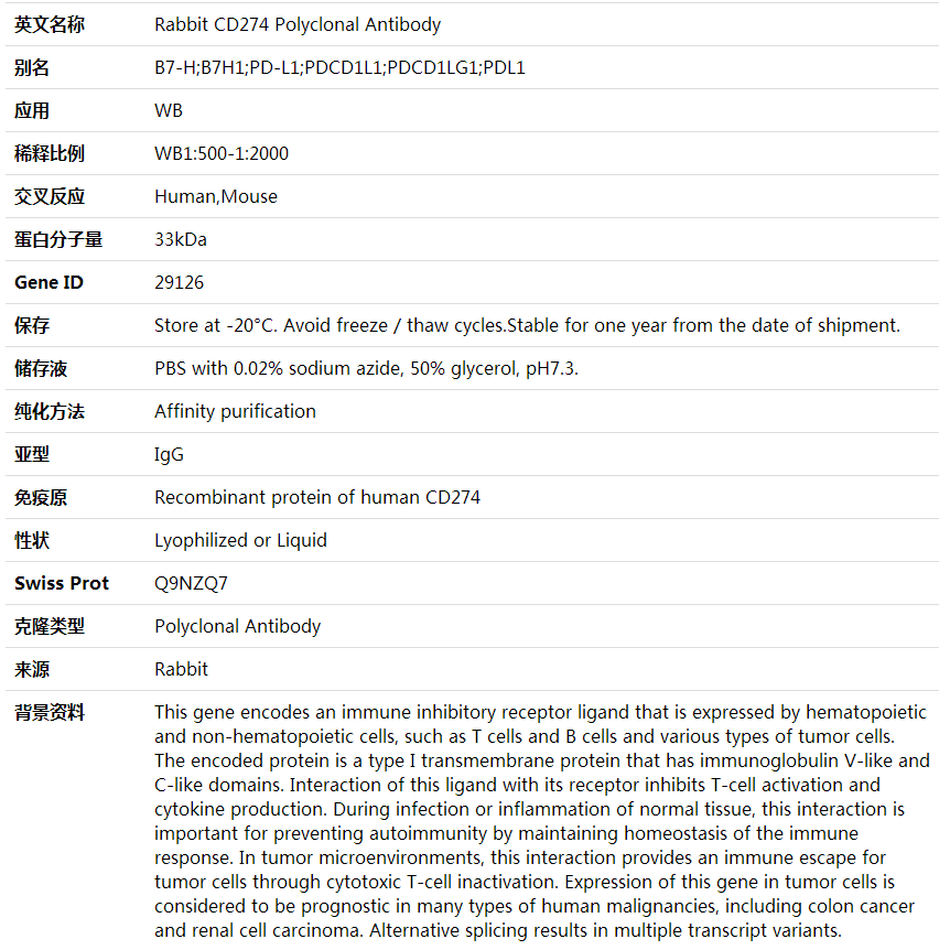 Anti-CD274 Polyclonal Antibody,索莱宝,K000354P-30ul