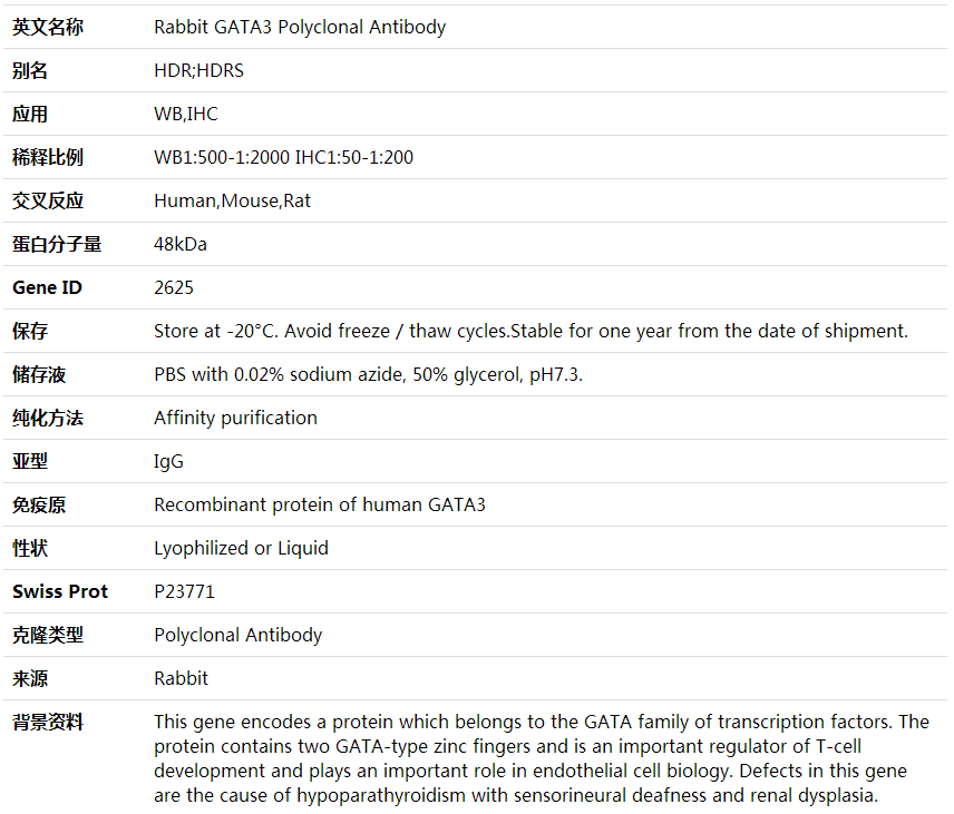 Anti-GATA3 Polyclonal Antibody,索莱宝,K000353P-100ul