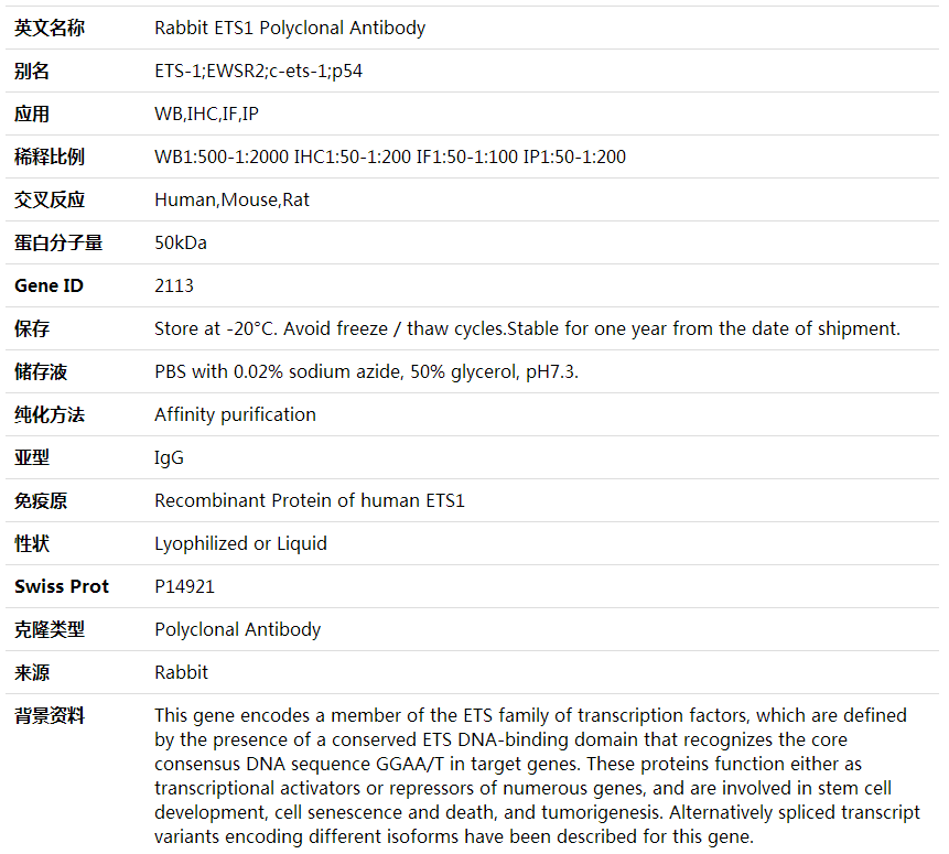 ETS1 Antibody,索莱宝,K000350P-100ul