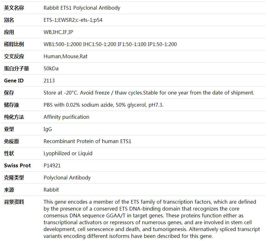 ETS1 Antibody,索莱宝,K000350P-30ul