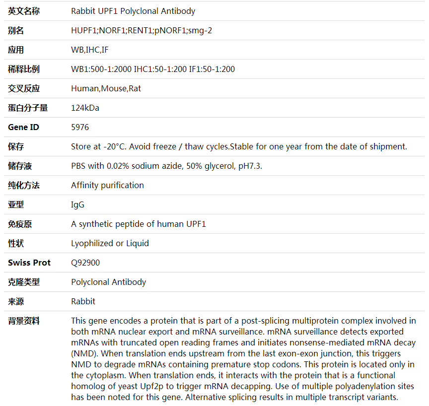 Anti-UPF1 Polyclonal Antibody,索莱宝,K000348P-100ul
