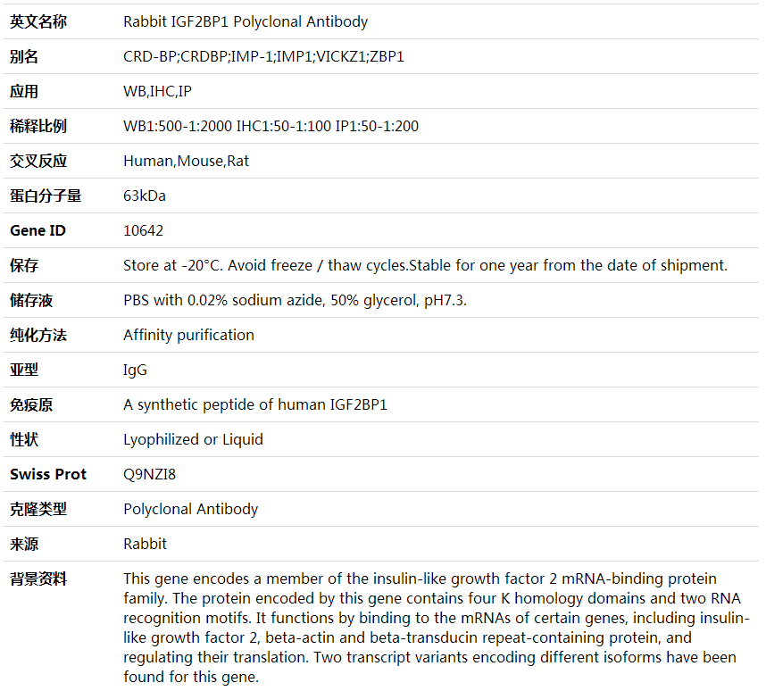 Anti-IGF2BP1 Polyclonal Antibody,索莱宝,K000347P-100ul