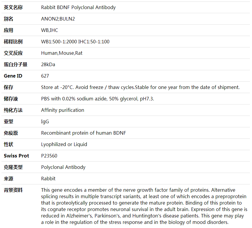 Anti-BDNF Polyclonal Antibody,索莱宝,K000345P-100ul