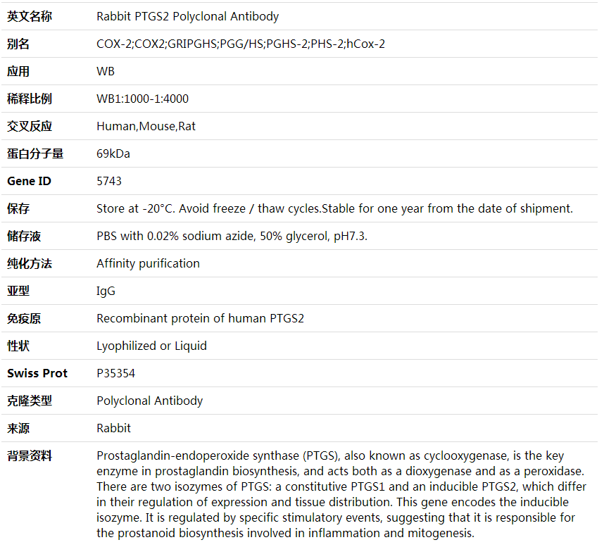 Anti-PTGS2 Polyclonal Antibody,索莱宝,K001561P-100ul