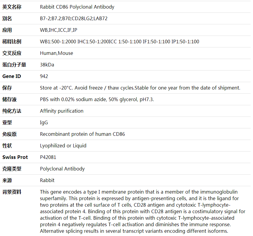 Anti-CD86 Polyclonal Antibody,索莱宝,K000343P-50ul