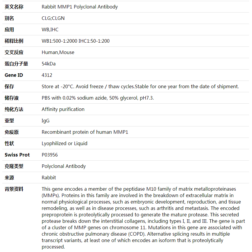 Anti-MMP1 Polyclonal Antibody,索莱宝,K000342P-30ul