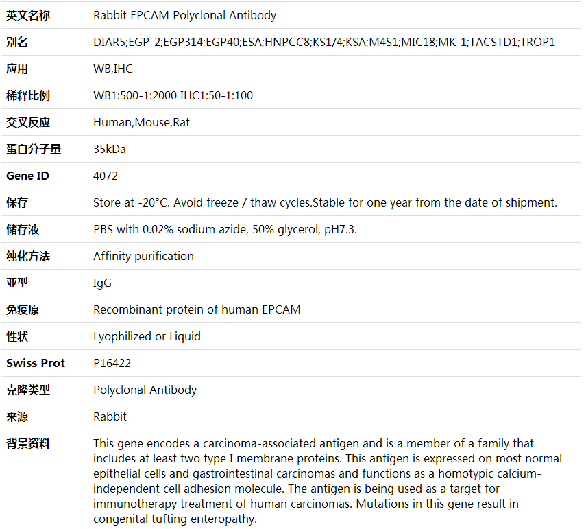 Anti-EPCAM Polyclonal Antibody,索莱宝,K000340P-100ul
