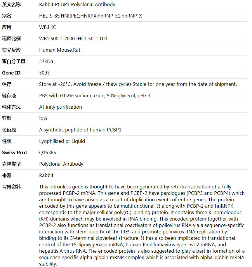 Anti-PCBP1 Polyclonal Antibody,索莱宝,K000337P-100ul