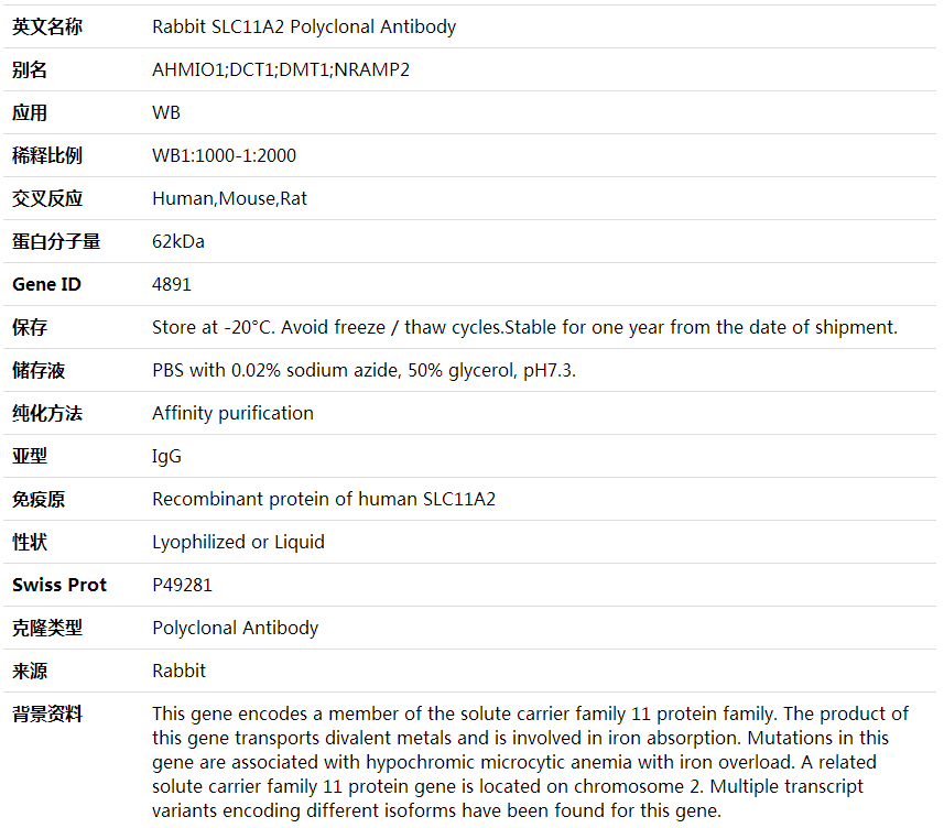 Anti-SLC11A2 Polyclonal Antibody,索莱宝,K000336P-100ul