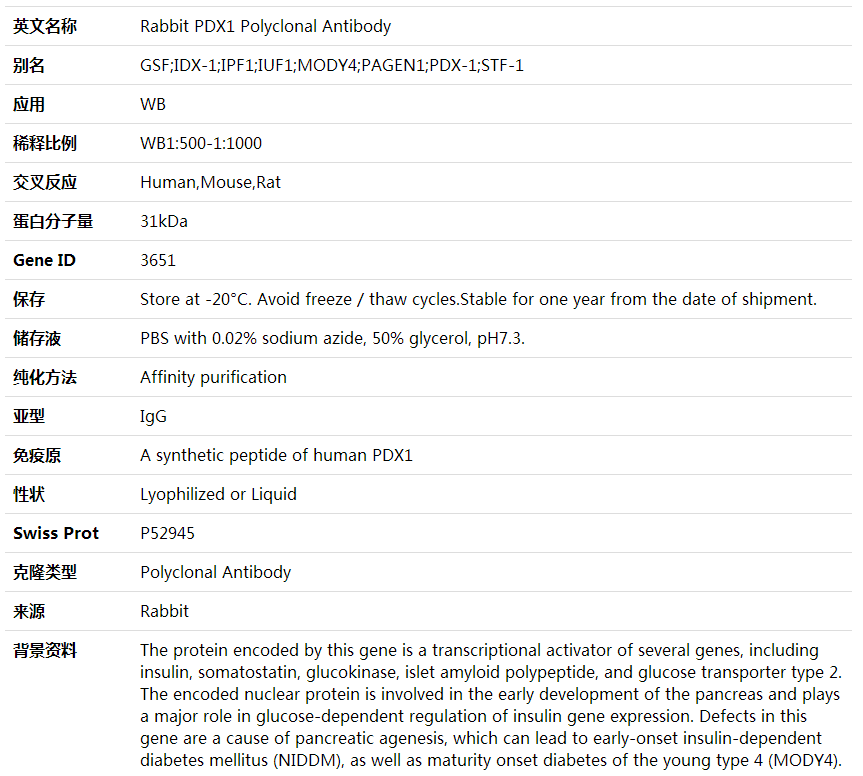 Anti-PDX1 Polyclonal Antibody,索莱宝,K000335P-30ul