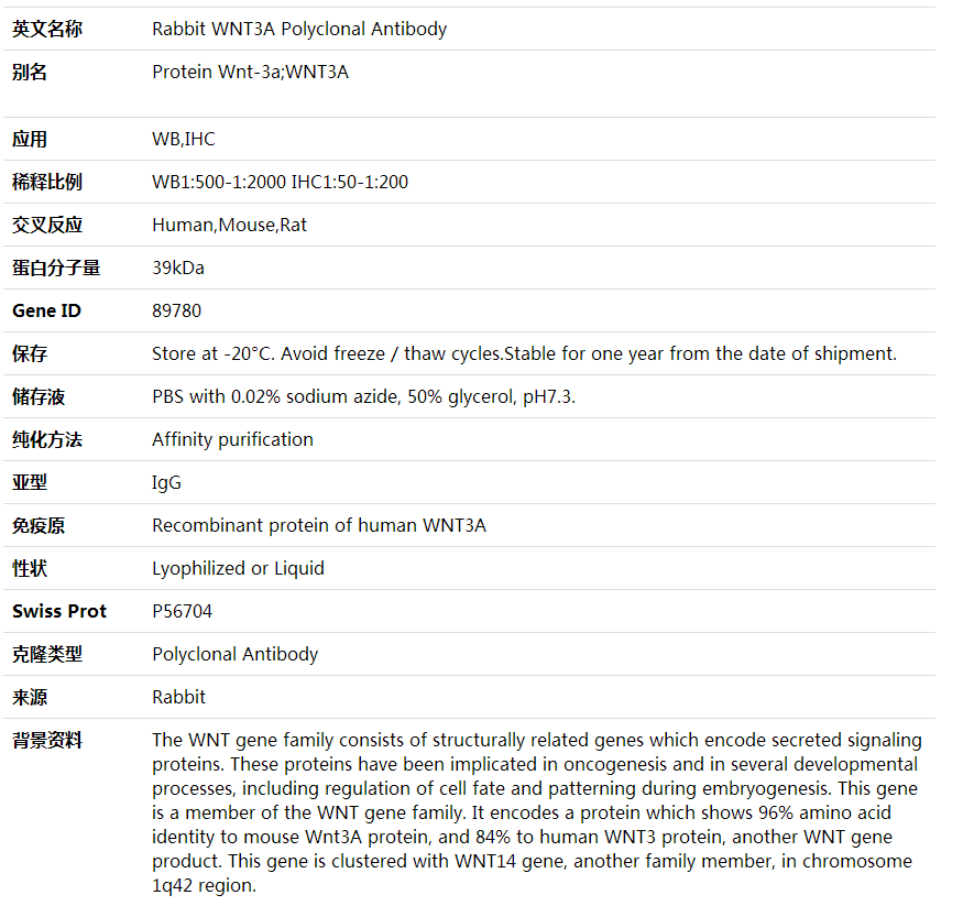 Anti-WNT3A Polyclonal Antibody,索莱宝,K000328P-50ul