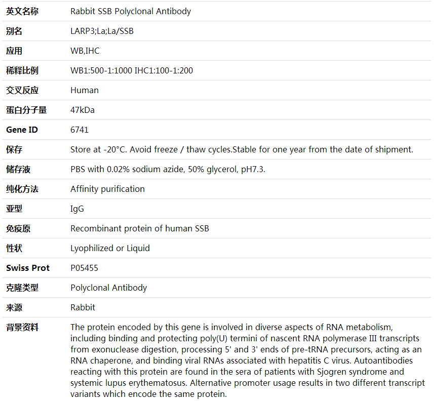 Anti-SSB Polyclonal Antibody,索莱宝,K000327P-30ul