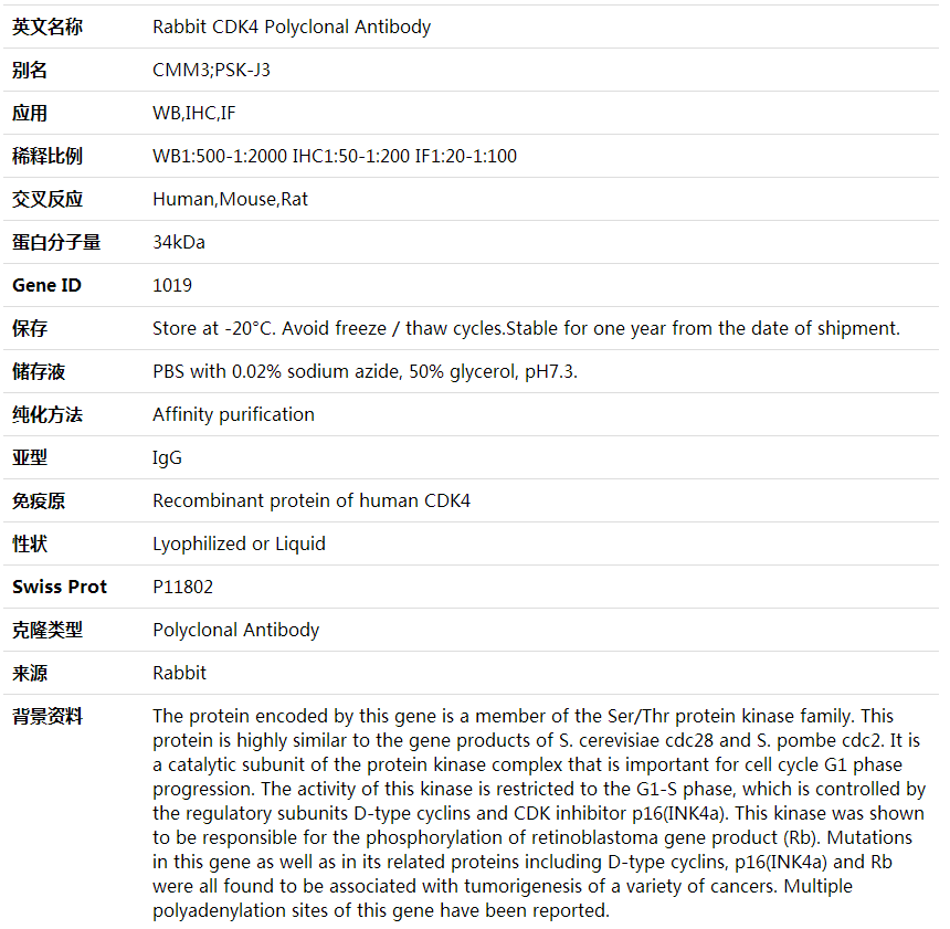 CDK4 Antibody,索莱宝,K000325P-100ul