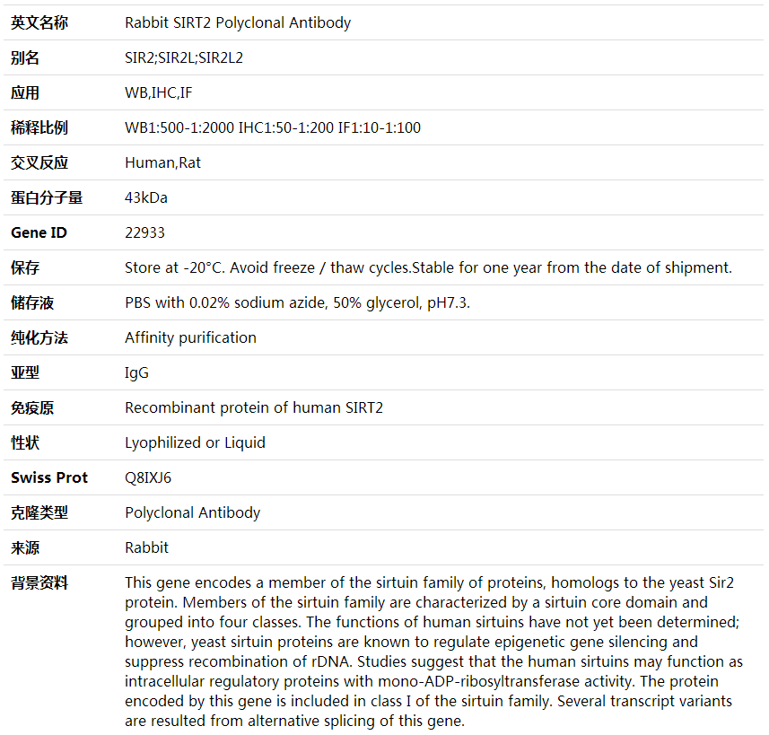SIRT2 AntibodySIRT2 Polyclonal Antibody,索莱宝,K000324P-100ul