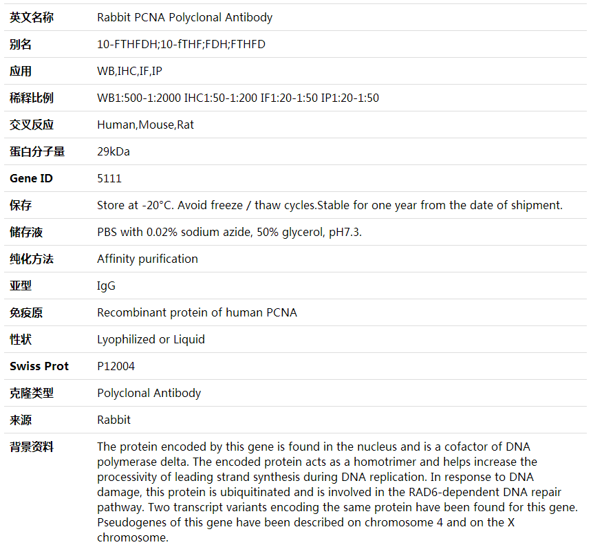 Anti-PCNA Polyclonal Antibody,索莱宝,K000323P-50ul