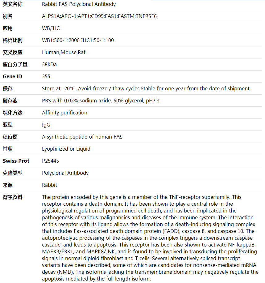 Anti-FAS Polyclonal Antibody,索莱宝,K000322P-100ul