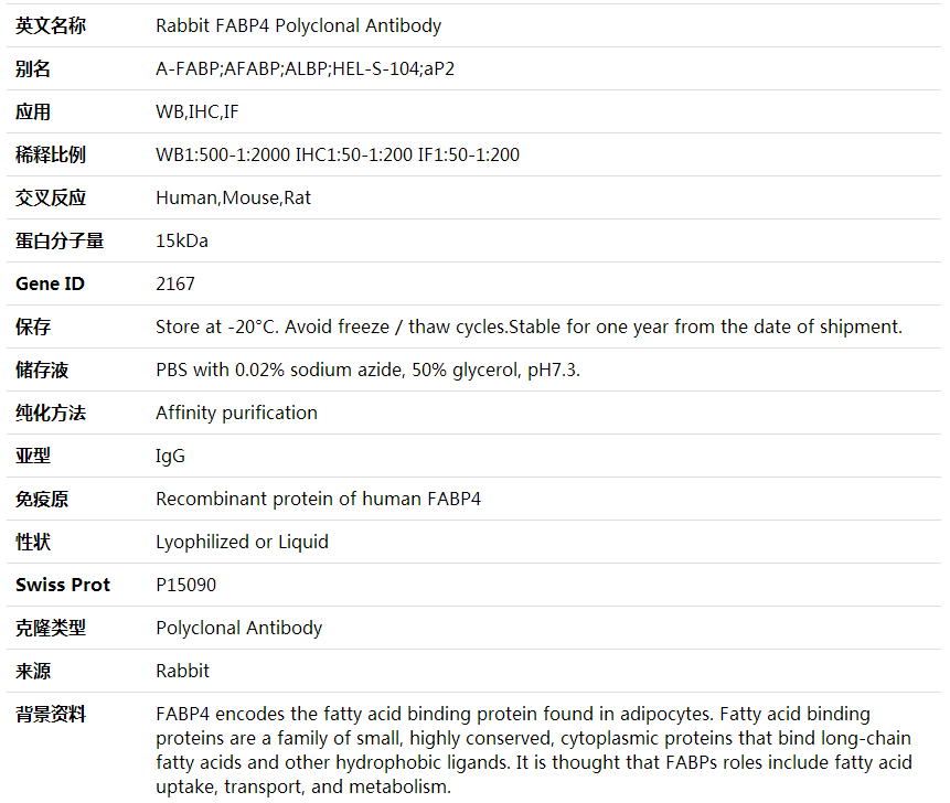 Anti-FABP4 Polyclonal Antibody,索莱宝,K000321P-50ul