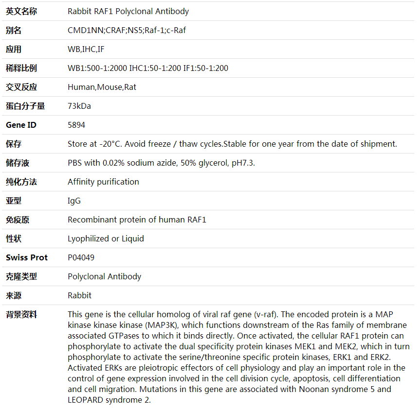 Anti-RAF1 Polyclonal Antibody,索莱宝,K000318P-50ul