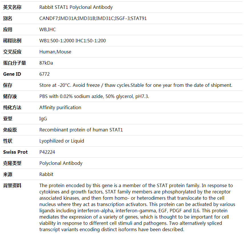 Anti-STAT1 Polyclonal Antibody,索莱宝,K000316P-100ul