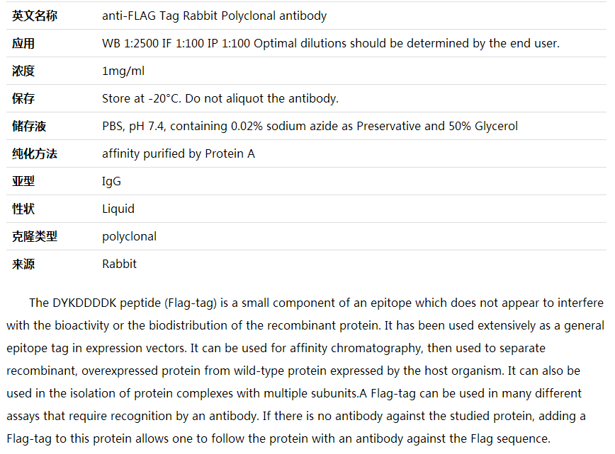 anti-FLAG Tag Rabbit Polyclonal antibody,索莱宝,RG001060-100ul