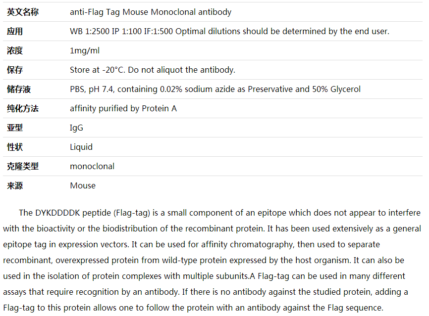 anti-Flag Tag Mouse Monoclonal antibody,索莱宝,M1001060-100ul