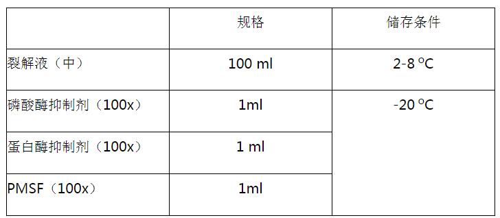 全蛋白提取试剂盒（中）,索莱宝,BC3711-100T