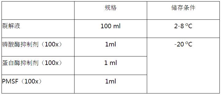 磷酸化蛋白提取试剂盒,索莱宝,BC3730-100T