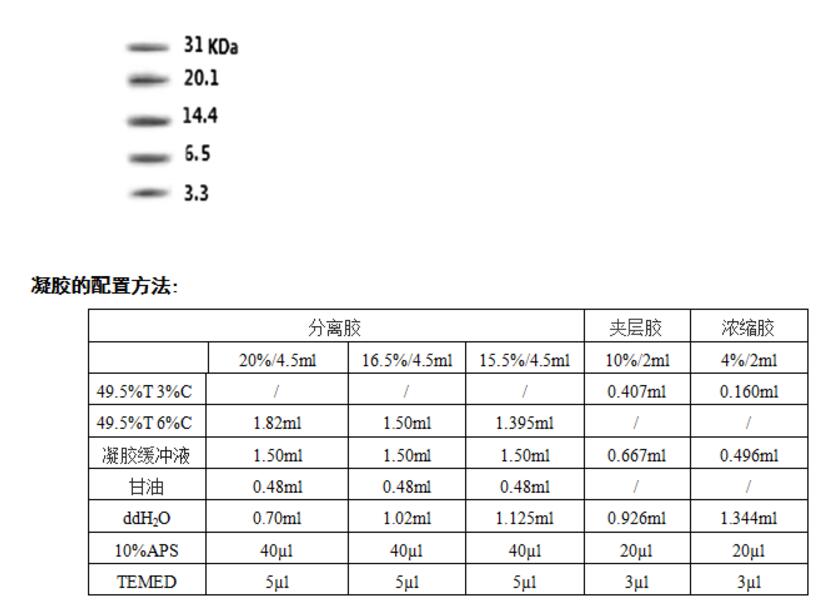 预染超低分子量蛋白质Marker（3.3kD-31.0kD),索莱宝,PR1900-20T