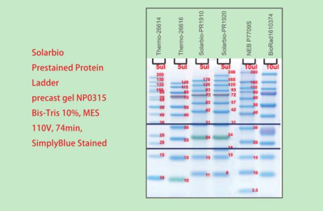 彩虹180广谱蛋白Marker（11-180KD),索莱宝,PR1910-250ul（50T)