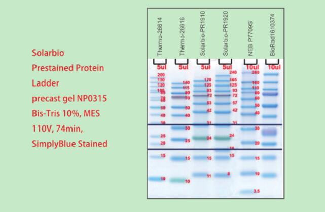 彩虹180广谱蛋白Marker（11-180KD),索莱宝,PR1910-10*250UL(500T)