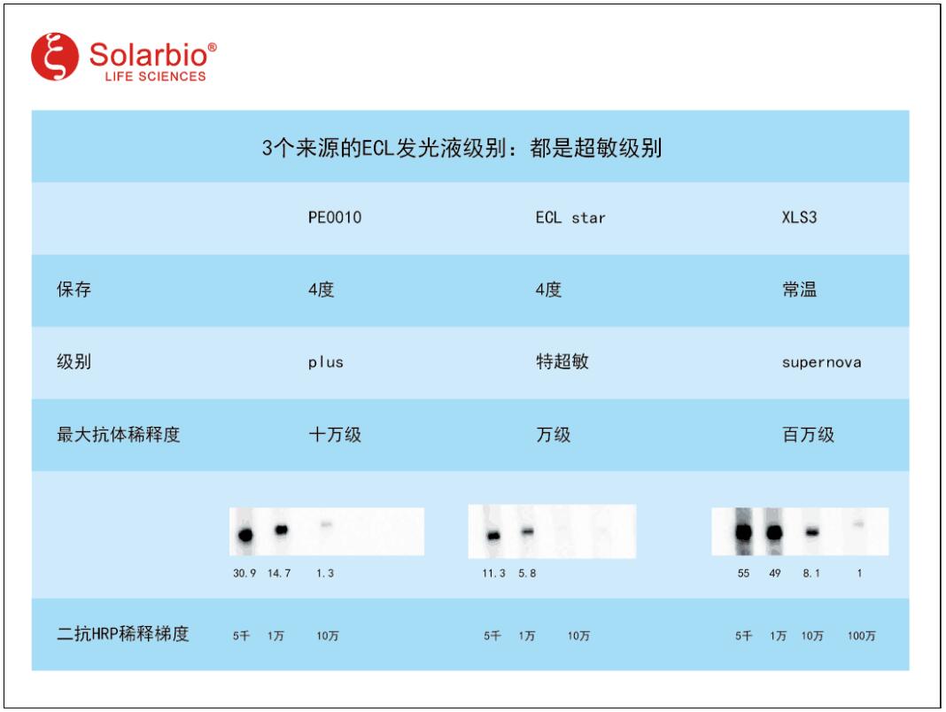 ECL Plus超敏发光液,索莱宝,PE0010-12.5ml*2