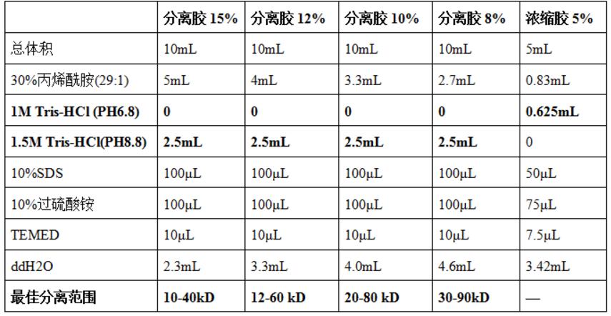 SDS-PAGE凝胶制备试剂盒,索莱宝,P1200-50T