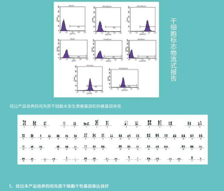 间充质干细胞无血清培养基,索莱宝,N6010-500ml