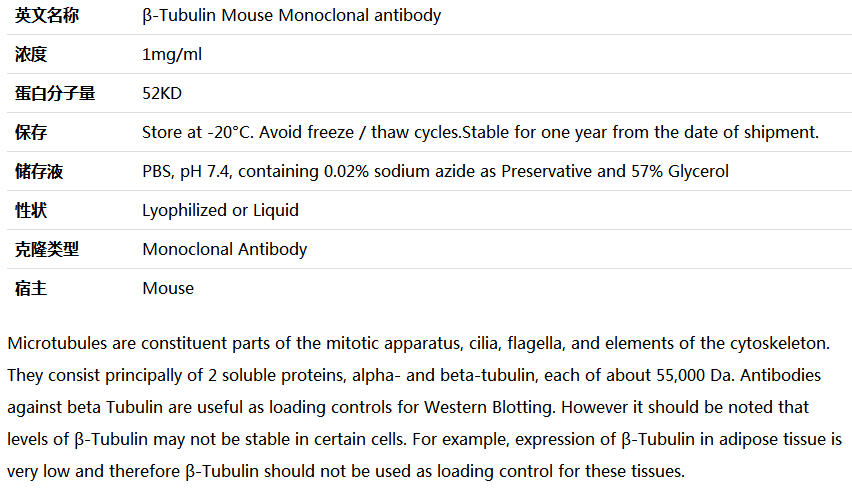 β-Tubulin antibody(loading control),索莱宝,M1000140-100ul