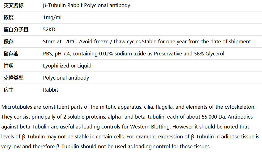 β-Tubulin antibody(loading control),索莱宝,RG000140-100ul