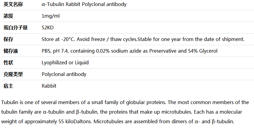 α-Tubulin antibody(loading control),索莱宝,RG000130-100ul