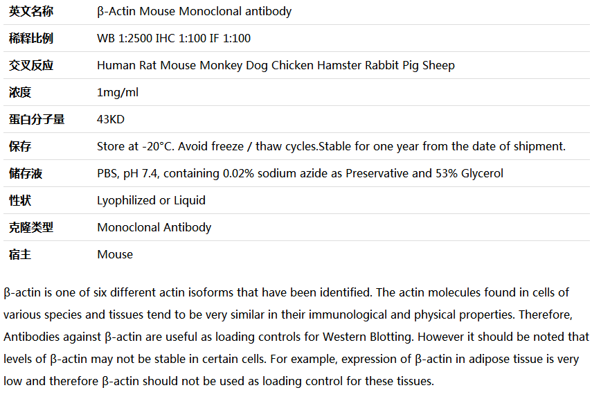β-Actin antibody(loading control),索莱宝,M1000170-100ul