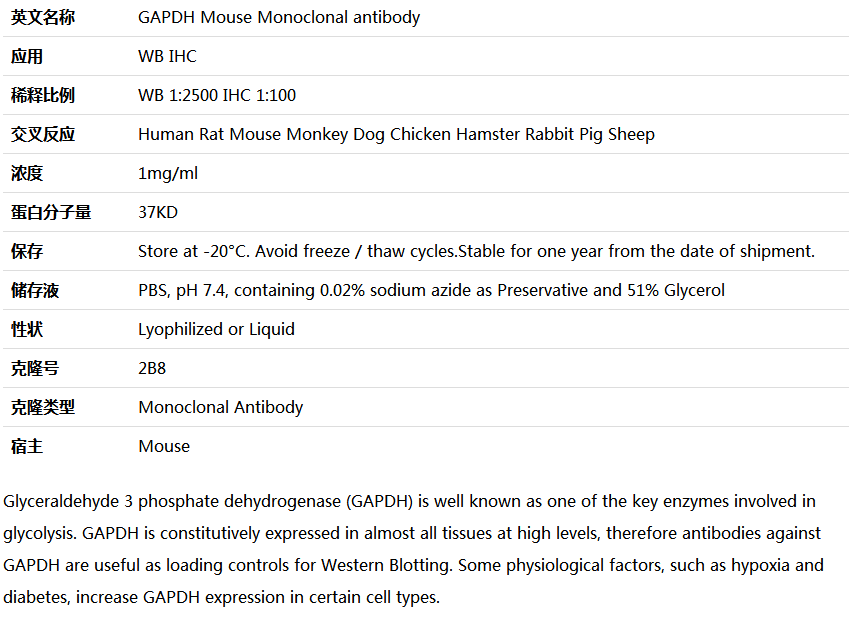 GAPDH antibody(loading control),索莱宝,M1000110-100ul
