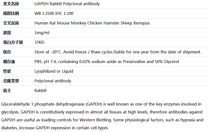 GAPDH antibody(loading control),索莱宝,RG000110-100ul