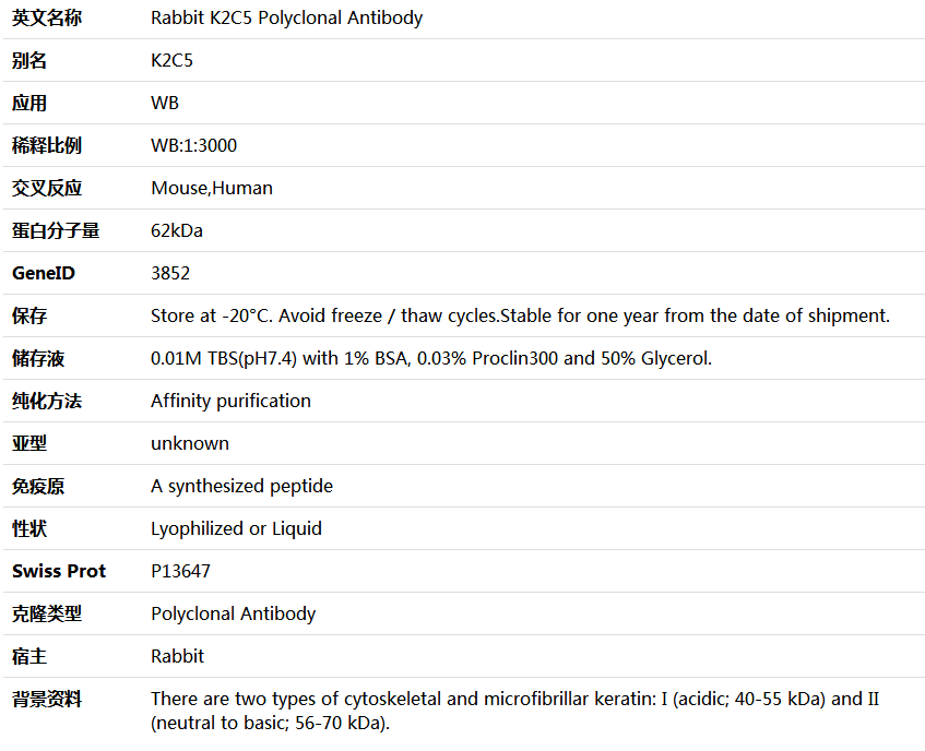 K2C5 Antibody,索莱宝,K001543P-50ul