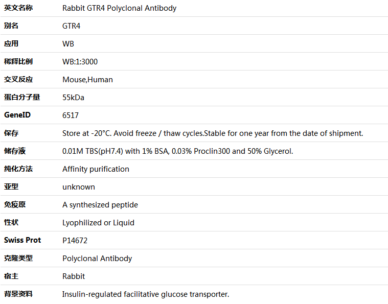 GTR4 Antibody,索莱宝,K001539P-50ul