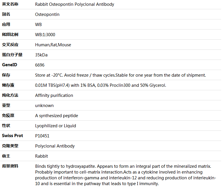 Osteopontin Antibody,索莱宝,K001558P-100ul