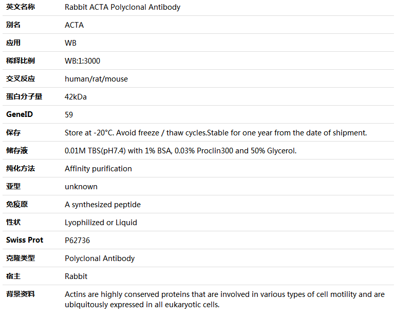 ACTA Antibody,索莱宝,K001557P-100ul
